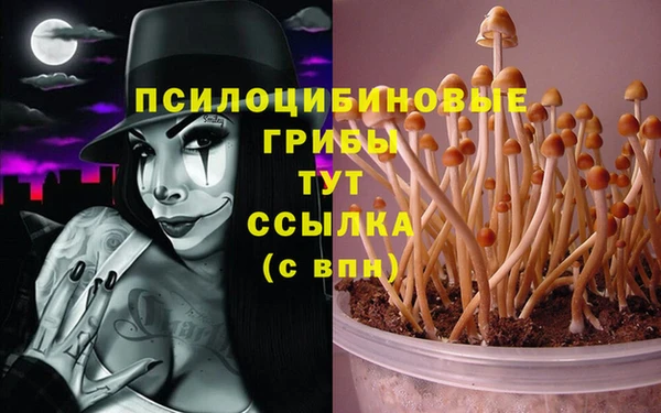 мдпв Аркадак