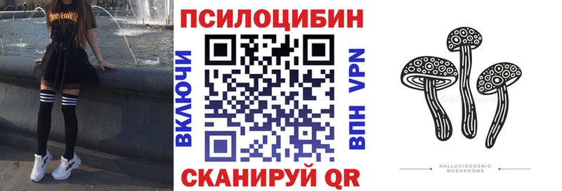 купить цена Терек KRAKEN tor Псилоцибиновые грибы Psilocybine cubensis